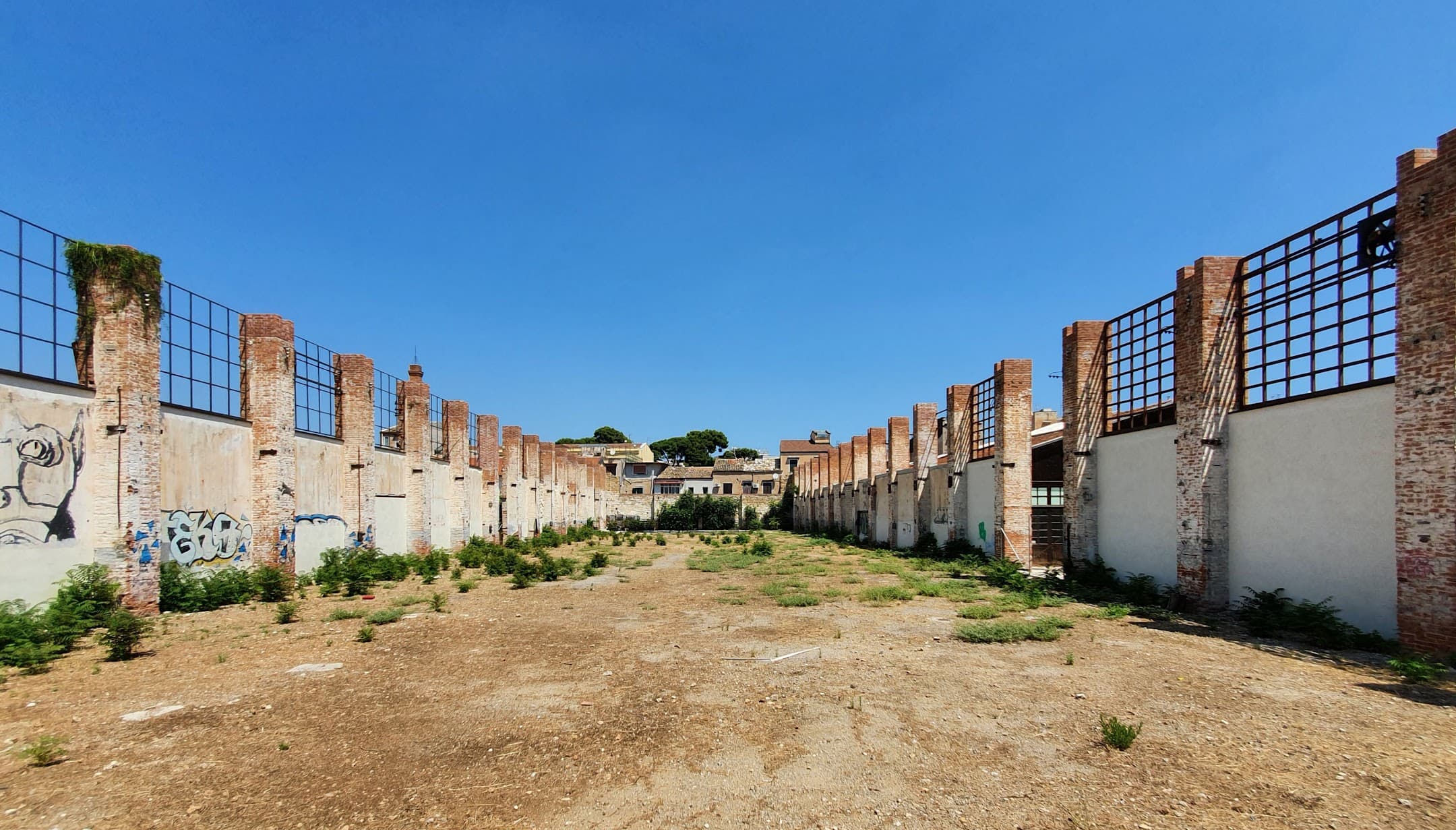 The spaces considered for reclamation were the roofless remains of a 20th century furniture factory.